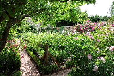 Jardin avec des fleurs et des plantes - Agrandir l'image 9 sur 9, fenêtre modale