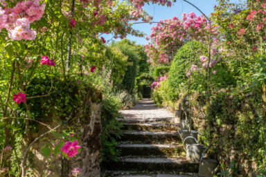Un jardin avec des escaliers, une allée gravillonnée, des plantes et des roses