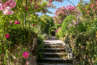 Un jardin avec des escaliers, une allée gravillonnée, des plantes et des roses - Agrandir l'image 1 sur 9, fenêtre modale