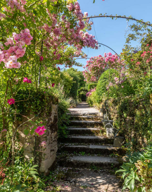 Un jardin avec des escaliers, une allée gravillonnée, des plantes et des roses