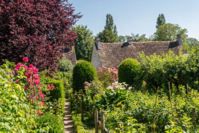 Un jardin avec une allée gravillonnée, des plantes, des arbres et des fleurs - Agrandir l'image 2 sur 9, fenêtre modale